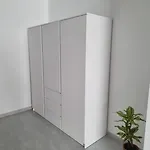 Apto Islote Apartment *